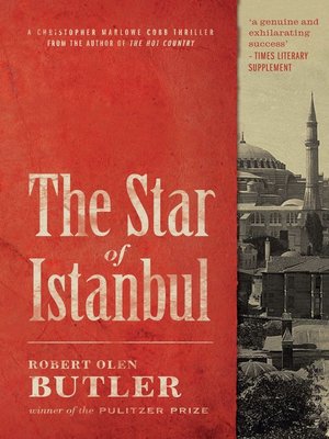 The Star of Istanbul - ebook
